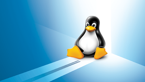 Ingénieur Linux embarqué